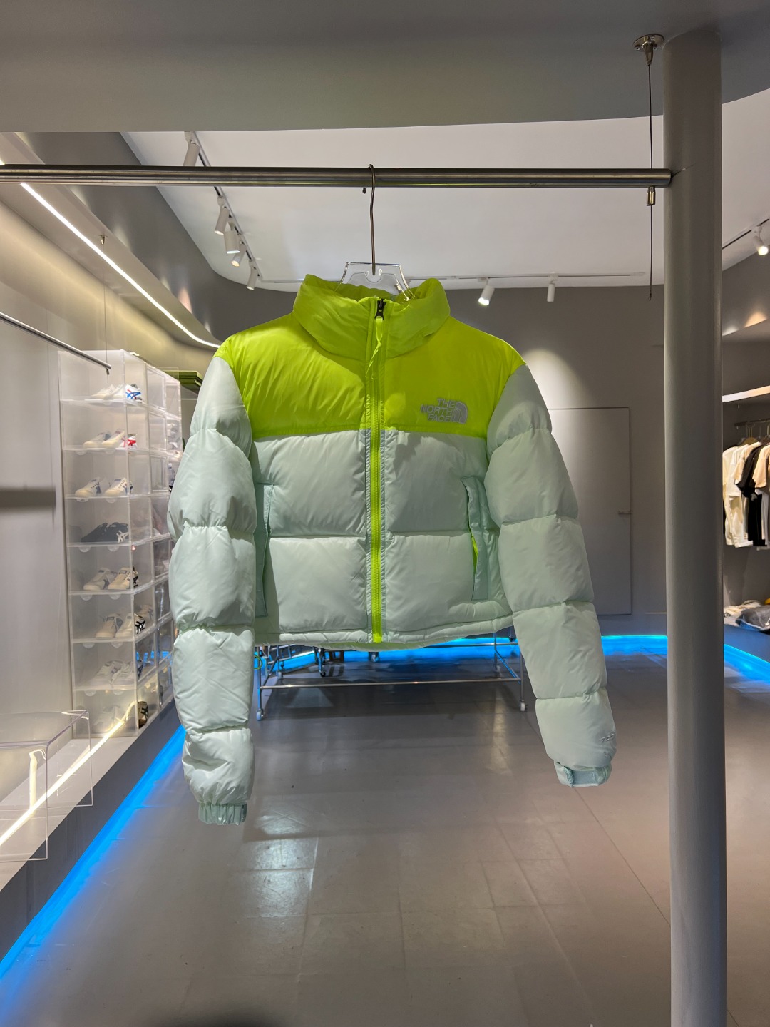 The North Face Down Jackets